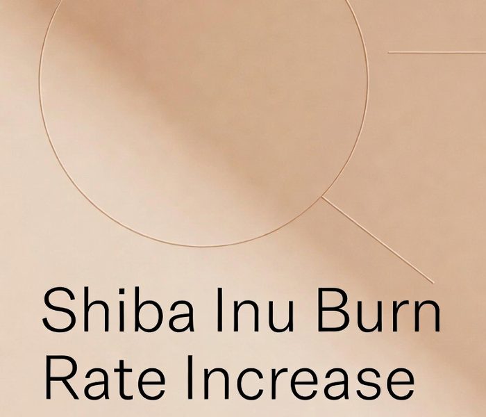 shiba inu burn rate increase